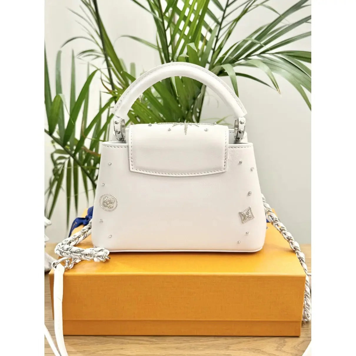 LOUIS VUITTON CAPUCINES MINI BAG