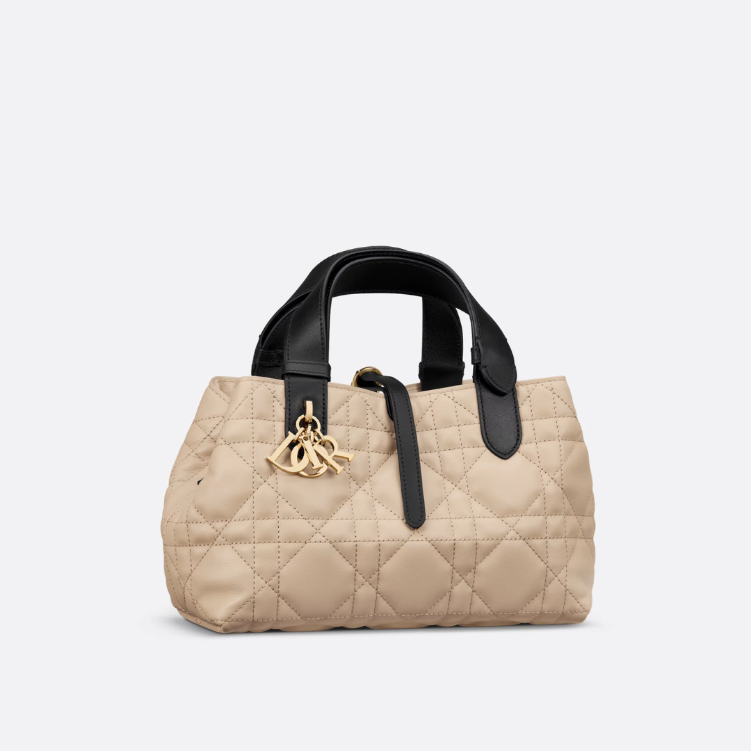 DIOR TOUJOURS SMALL BAG