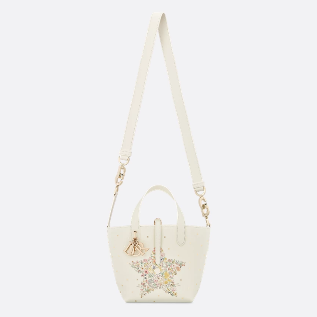 VERTICAL SMALL DIOR LUCKY DIOR TOUJOURS TOTE BAG