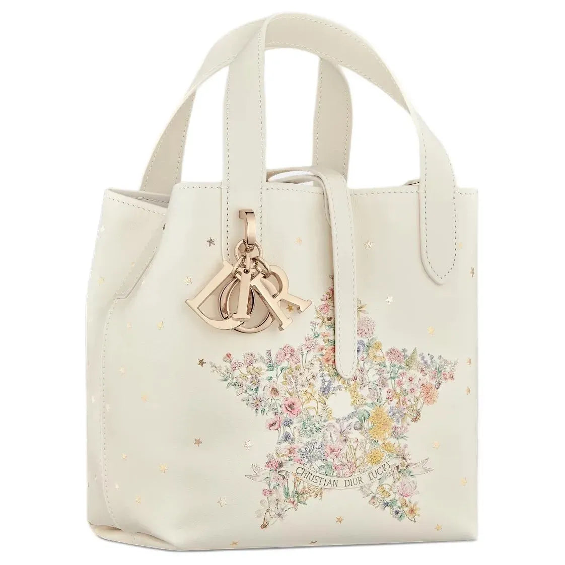 VERTICAL SMALL DIOR LUCKY DIOR TOUJOURS TOTE BAG