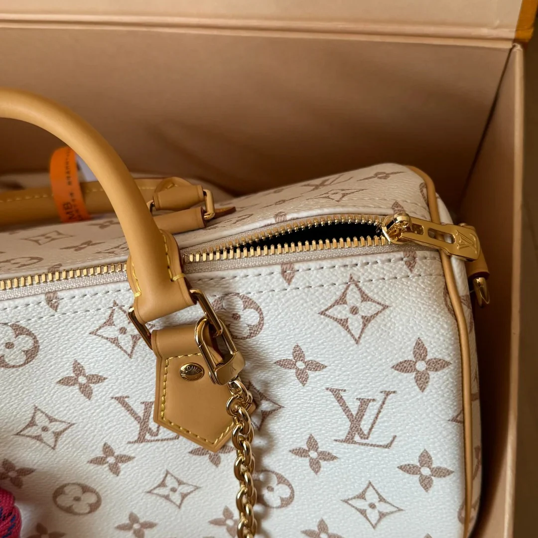 LOUIS VUITTON – SPEEDY SOFT 30 LUCKY BAG