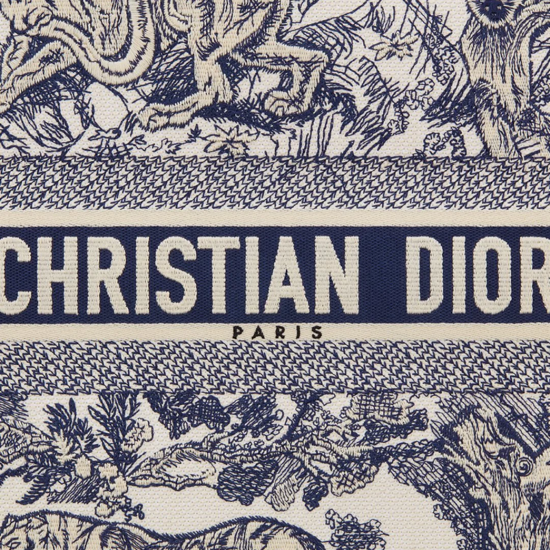 LARGE DIOR BOOK TOTE BAG